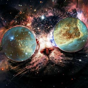 Meet your Posher, Bryndalyn